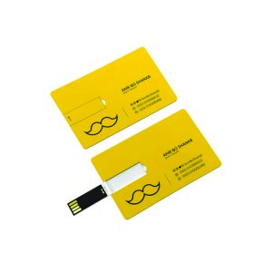 Pen drive cartão personalizado4